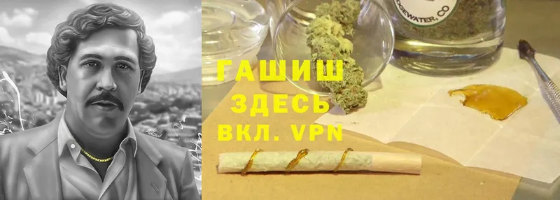 Гашиш Cannabis  Бологое 