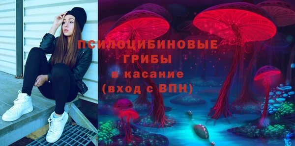 PSILOCYBIN Елизово