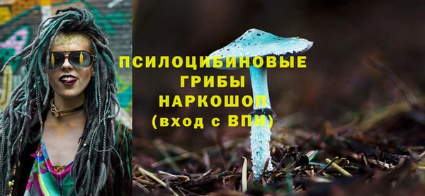 герыч Лиски