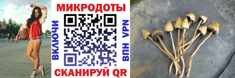 mega вход Бологое Галлюциногенные грибы Magic Shrooms