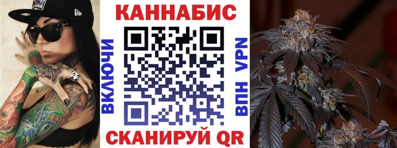Бошки марихуана план  купить  цена  KRAKEN ONION  Бологое 